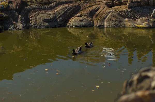 City pond Spring Summer Daylight — Stock Photo, Image