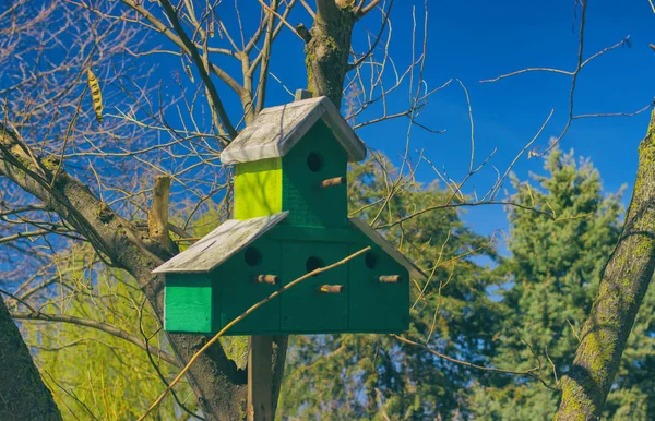 Şehir parkı Day Outdoor'da kuş evi — Stok fotoğraf