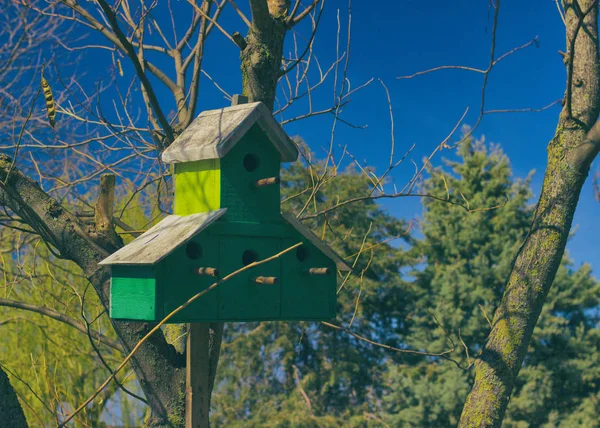 Birdhouse at city park Day Outdoor — Stock Photo, Image