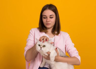 Sevimli Genç kız ile kedi, stüdyo