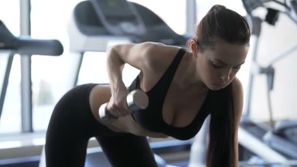 Cute woman exercising in the gym — Stock Footage Cute woman exercising in the gym Royalty Free Stock Footage