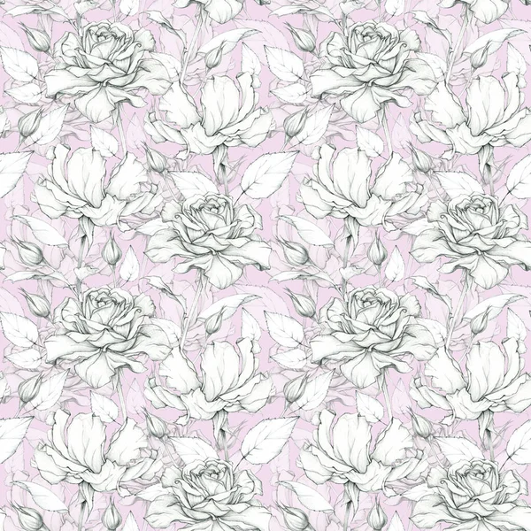 美丽玫瑰的无缝图案 罗勒画图复古花卉背景 — 图库照片