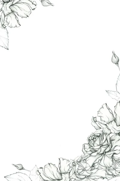 Modelo Convite Com Uma Mão Desenhada Rosas Bela Composição Botânica Imagens Royalty-Free