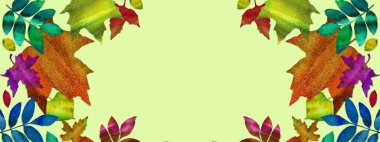 Suluboya sonbahar yapraklarının taslağı. Şablon. Boşluğu kopyala