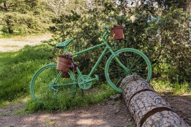 Ağaç bagajında Yeşil Bisiklet park
