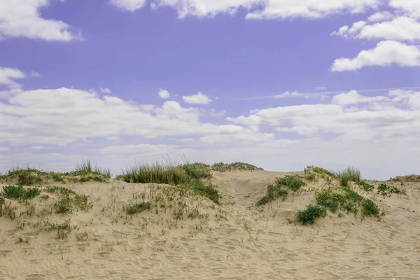 Paisagem agradável de dunas andaluzas com o céu no backgroun — Fotografia de Stock