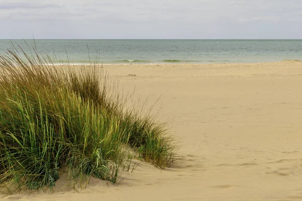 Dune krajobraz w Huelva, Hiszpania — Zdjęcie stockowe