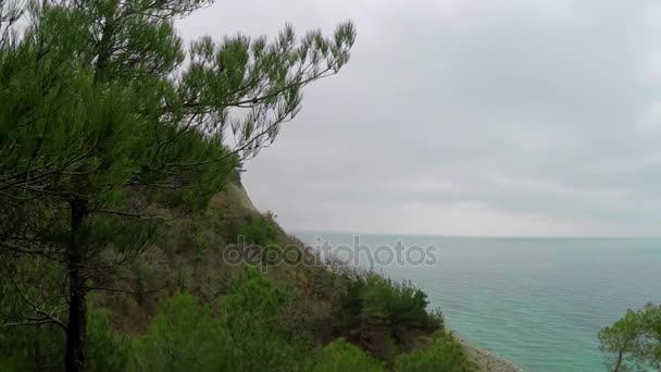 Seascape in overcast weather — Stock Video