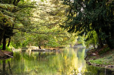 Rahatlatıcı ve günbatımı Park