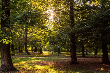Rahatlatıcı ve günbatımı Park