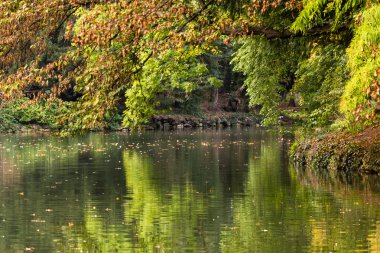 Rahatlatıcı ve günbatımı Park