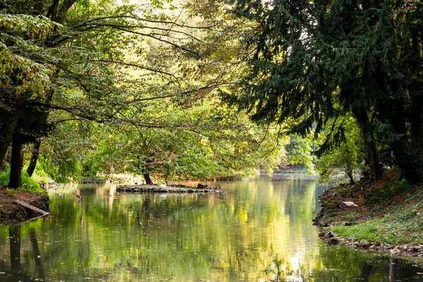 Rahatlatıcı ve günbatımı Park