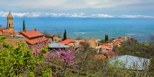 City on the mountain — Stock Photo, Image