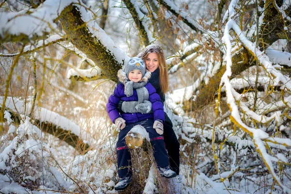 Feliz na madeira de neve — Fotografia de Stock