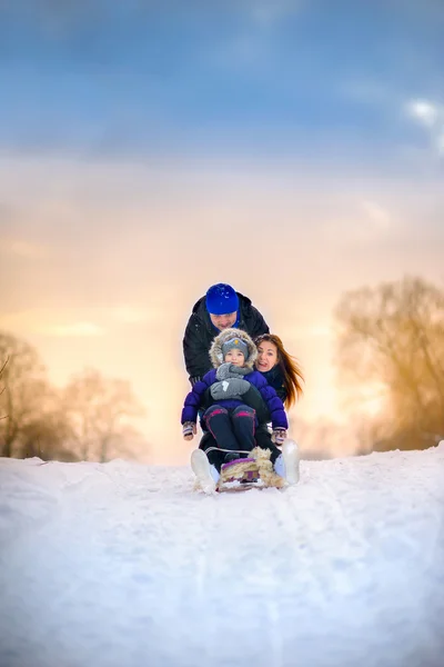 Family rides the sledge in the wood — Stock fotografie