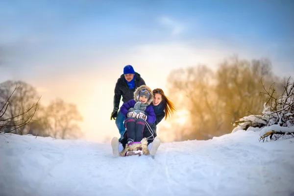 Family rides the sledge in the wood — Stock fotografie