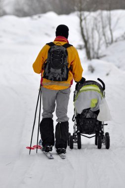 kayakçı kar ormanda binmek