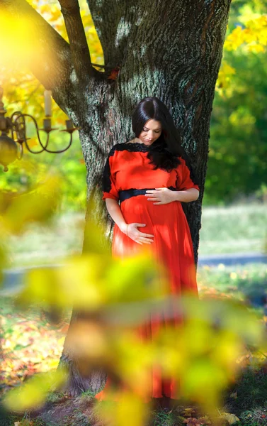 Happy mother waiting for the child's birth — Stock Photo, Image