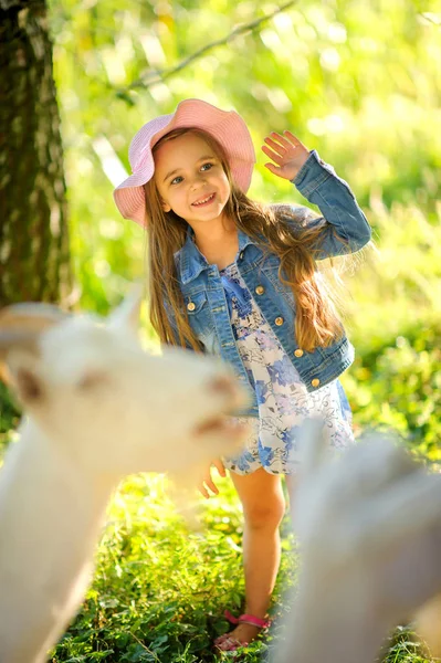 Дівчинка годує кіз — стокове фото
