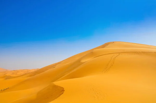 Dunes dans le désert du Sahara — Photo