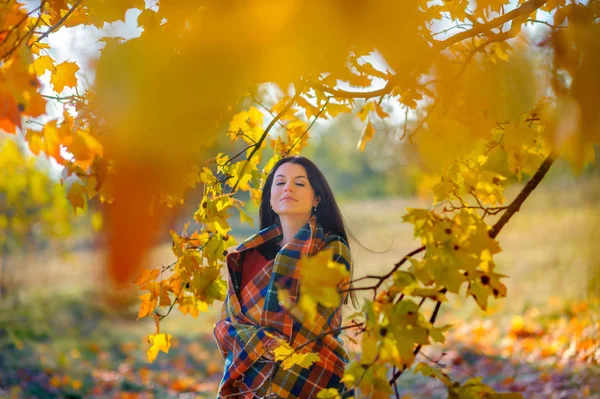 Beautiful pregnant girl — Stock Photo, Image