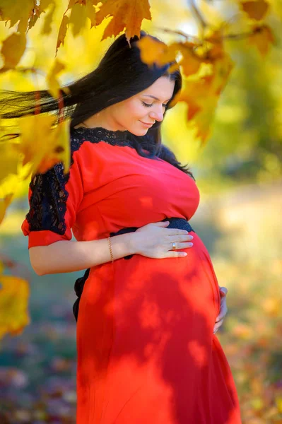 Menina grávida bonita — Fotografia de Stock