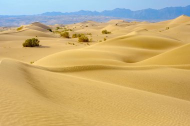 Dunes Iran ıssız bir kısmının