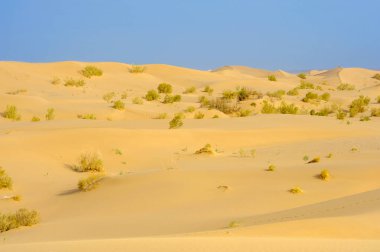 Dunes Iran ıssız bir kısmının