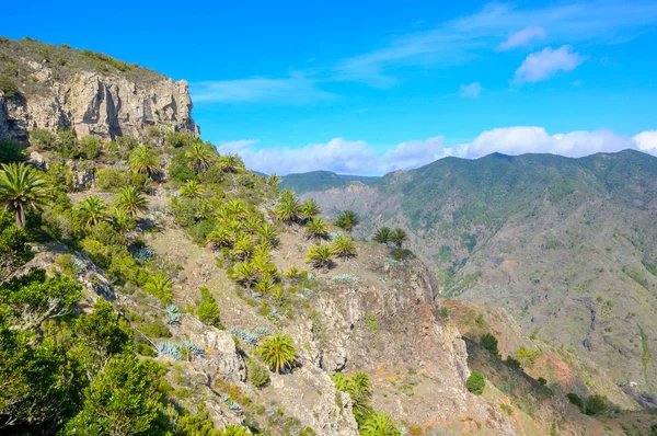 Paesaggi montani di Tenerife — Foto Stock