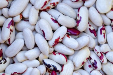 Lezzetli ve sağlıklı yemekler.