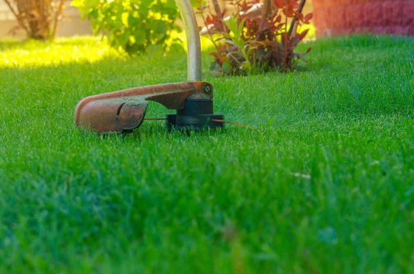 person mows a grass by means of a manual lawn-mower