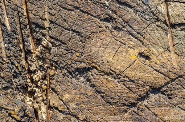 Fondo Madera Vieja Que Seca Por Sol — Foto de Stock