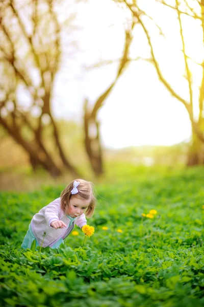 Parktaki küçük kız — Stok fotoğraf