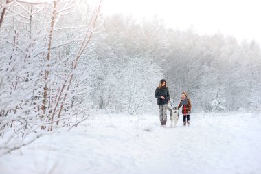 bir dış yapraklar ile aile yürür