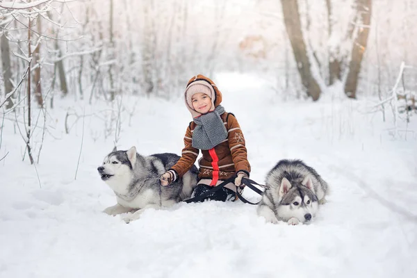 Menina alegre com cães — Fotografia de Stock