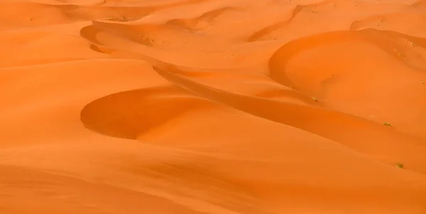 장엄한 사하라 사막 — 스톡 사진