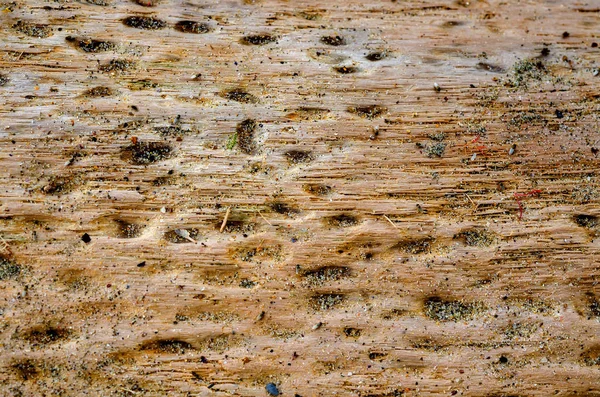 背景老木头与美丽的干涸的纤维 — 图库照片