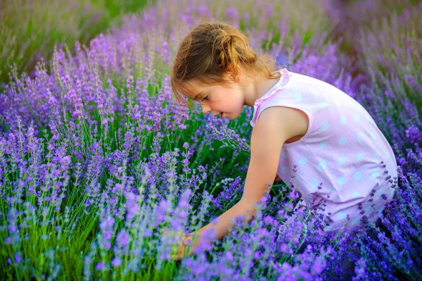 Kız komik örgüler ile buket lavanta alanındaki toplar