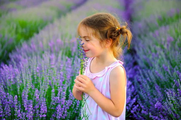 Buket lavanta dolu bir alanda toplama komik örgüler ile kız