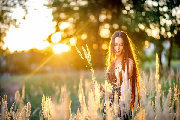 güzel genç kız parkta bir günbatımı üzerinde yürür, bir buket alan otlar toplar