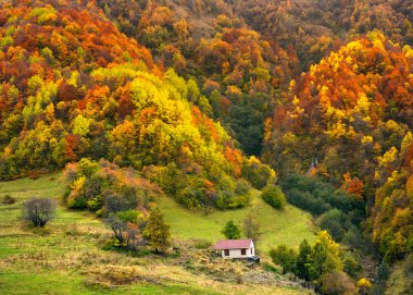 küçük ev, yalnız bir dağın üzerinde duruyor