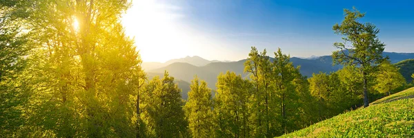 Strahlen der Morgensonne — Stockfoto