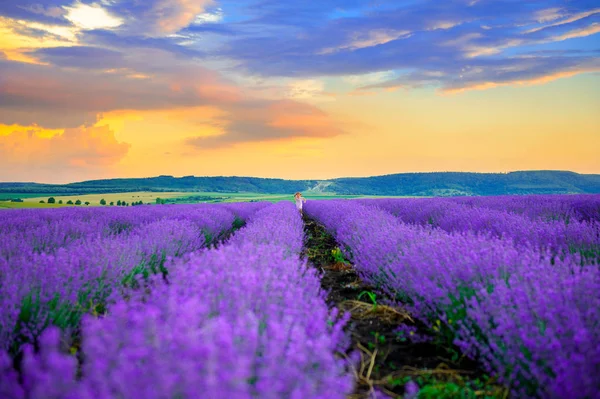 Meisje in een Lavendel veld — Stockfoto