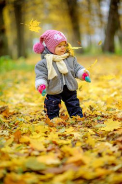 Bebek güzel bir sonbahar Park
