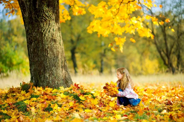 Jong meisje in het herfstpark — Stockfoto