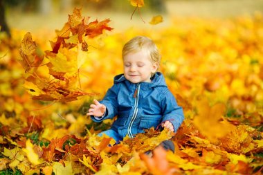 Sonbahar yaprakları ile oynayan çocuk