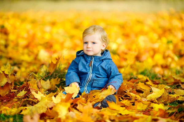 Счастливый Малыш Гуляет Красивом Осеннем Парке Играет Стреляет — стоковое фото