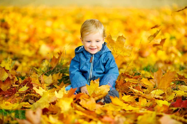 Ребёнок играет с осенними листьями — стоковое фото