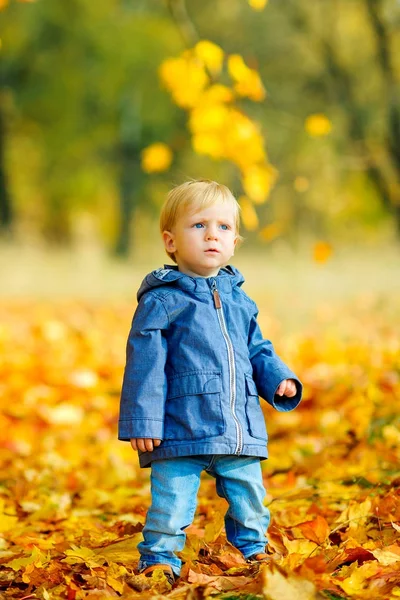 Ребёнок играет с осенними листьями — стоковое фото