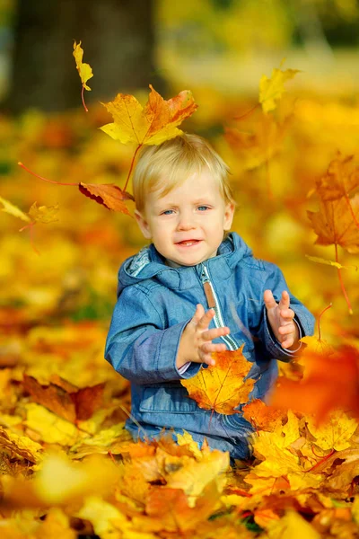 Kind spelen met Herfstbladeren — Stockfoto